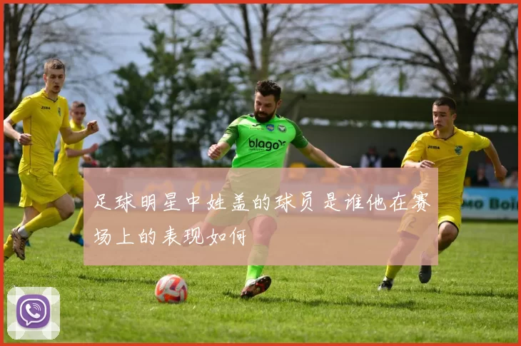 足球明星中姓盖的球员是谁他在赛场上的表现如何