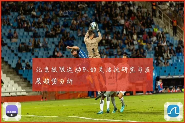 北京极限运动队的灵活性研究与发展趋势分析