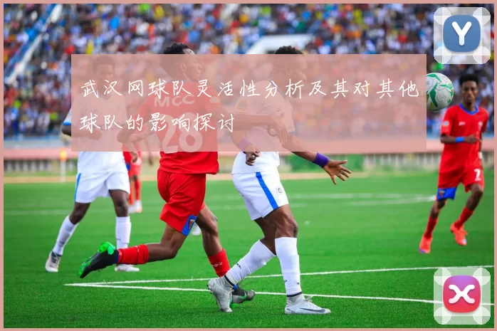 武汉网球队灵活性分析及其对其他球队的影响探讨