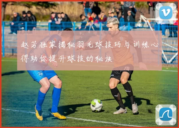 赵芳独家揭秘羽毛球技巧与训练心得助你提升球技的秘诀