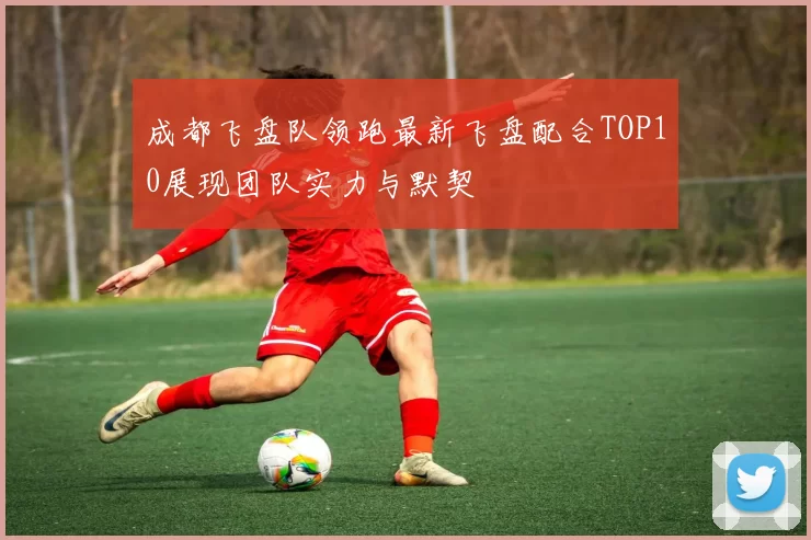 成都飞盘队领跑最新飞盘配合TOP10展现团队实力与默契