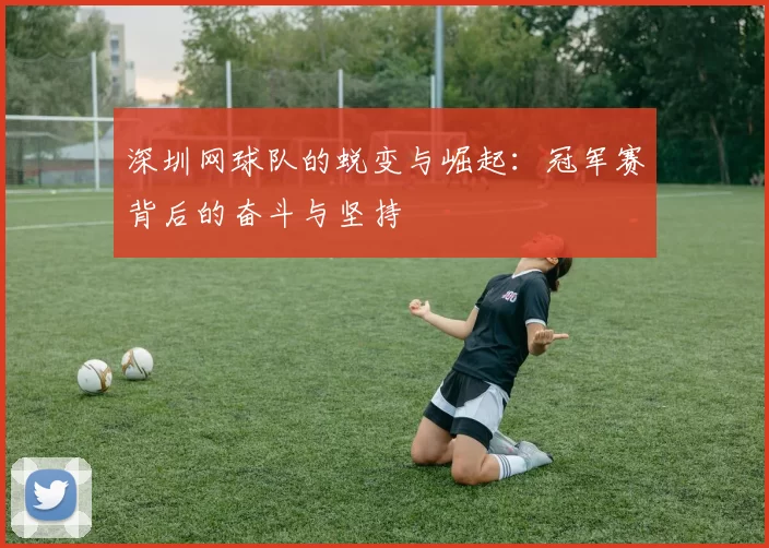 深圳网球队的蜕变与崛起：冠军赛背后的奋斗与坚持