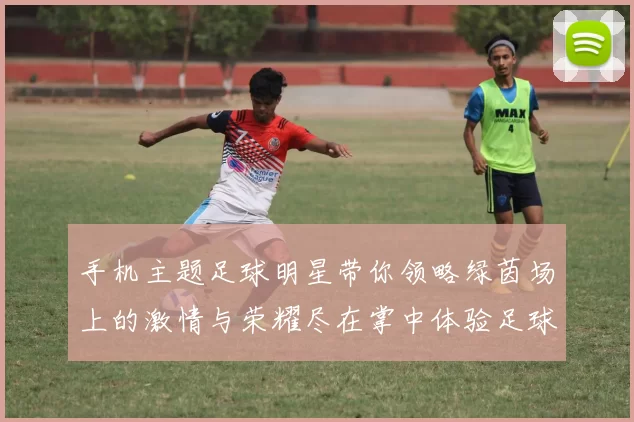 手机主题足球明星带你领略绿茵场上的激情与荣耀尽在掌中体验足球的魅力与乐趣