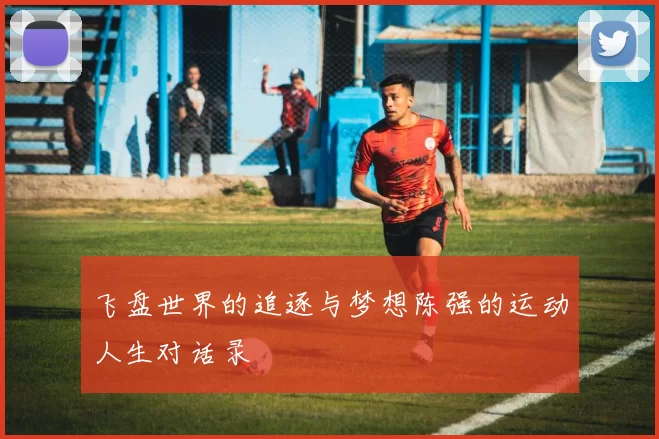 飞盘世界的追逐与梦想陈强的运动人生对话录