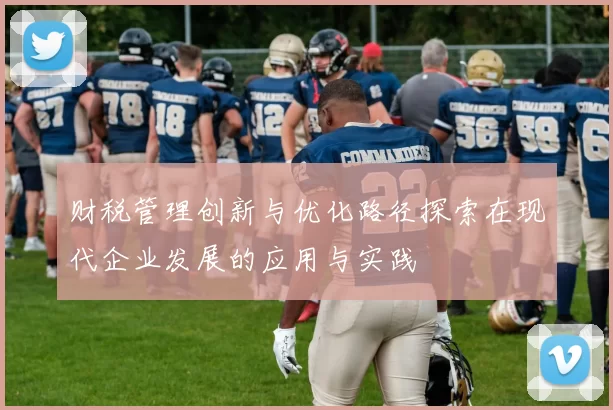 财税管理创新与优化路径探索在现代企业发展的应用与实践