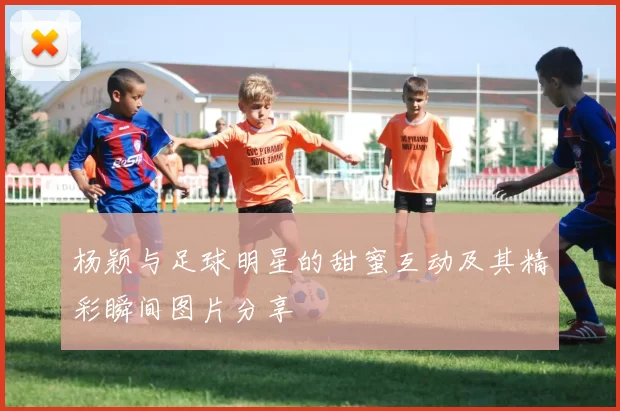 杨颖与足球明星的甜蜜互动及其精彩瞬间图片分享