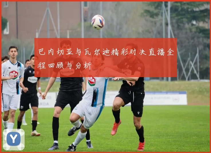 巴内切亚与瓦尔迪精彩对决直播全程回顾与分析