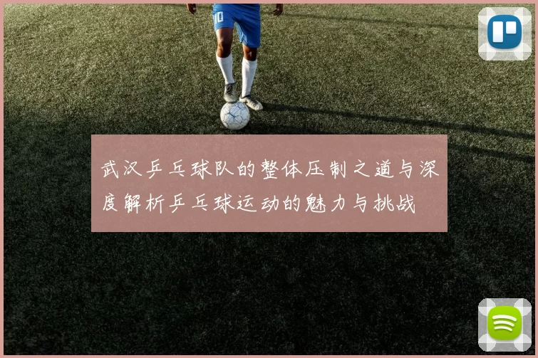 武汉乒乓球队的整体压制之道与深度解析乒乓球运动的魅力与挑战