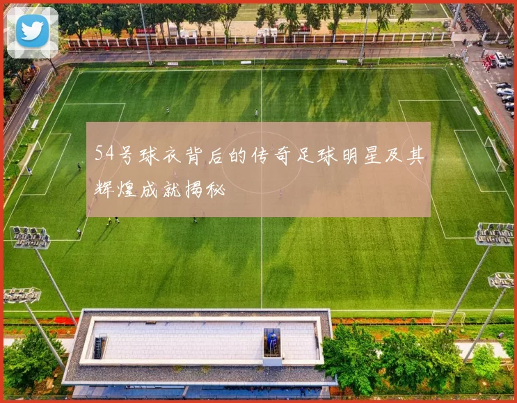 54号球衣背后的传奇足球明星及其辉煌成就揭秘