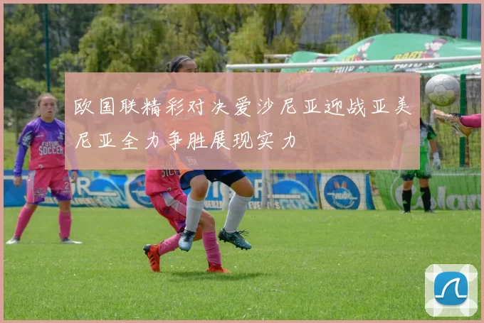 欧国联精彩对决爱沙尼亚迎战亚美尼亚全力争胜展现实力