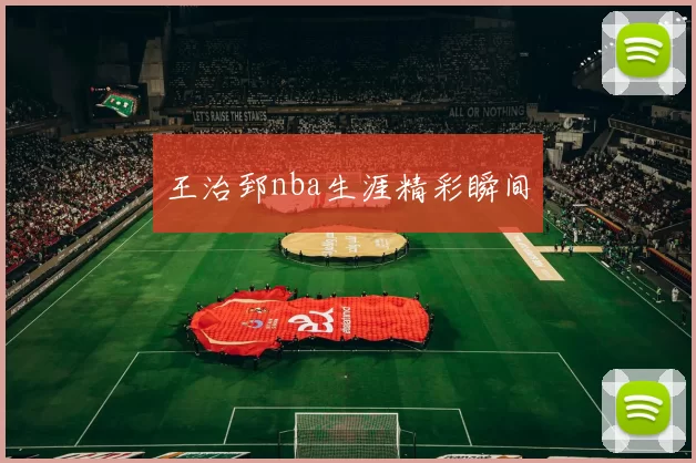 王治郅nba生涯精彩瞬间