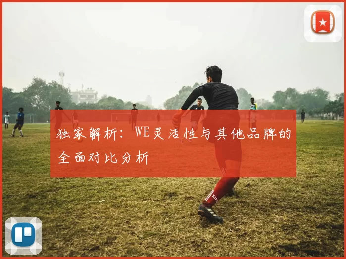 独家解析：WE灵活性与其他品牌的全面对比分析