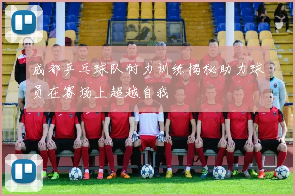 成都乒乓球队耐力训练揭秘助力球员在赛场上超越自我