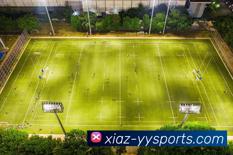 17个月内四度失业！加斯佩里尼弟子变平庸之辈 - Copy (9)